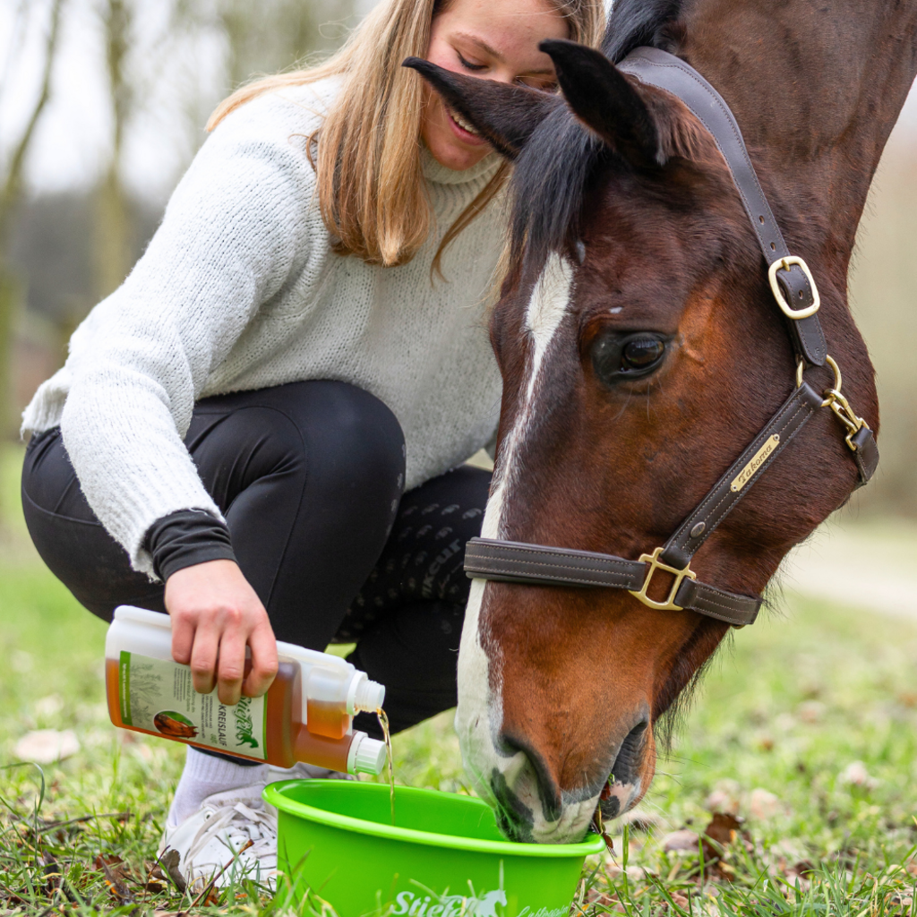 Stiefel Herz-Kreislauf-Saft 1 l