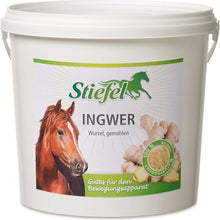 Stiefel Ingwer, gemahlen, 1 kg