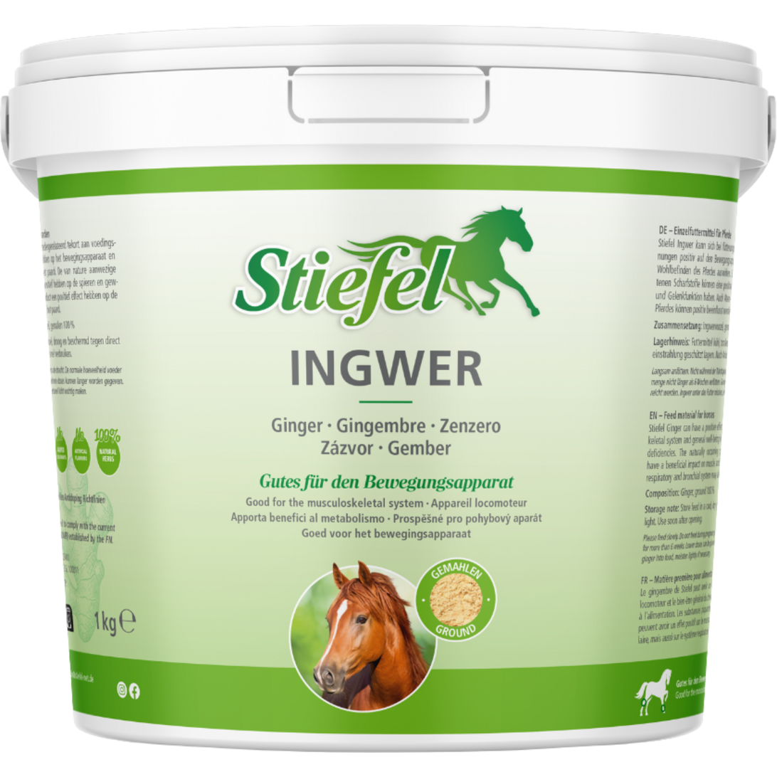 Stiefel Ingwer, gemahlen, 1 kg