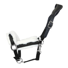 Lavender Halfter Anatomical Shine | Silver Edition | Ledergenickstück Black