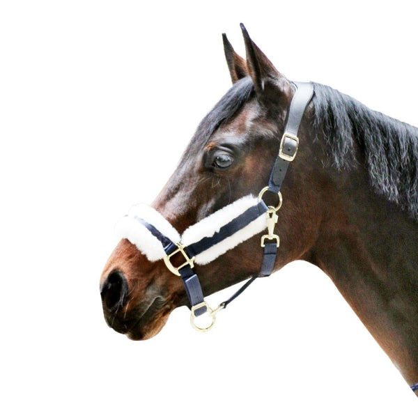 Dark Slate Gray Halfter Anatomical Shine | Messing Edition | Ledergenickstück Black