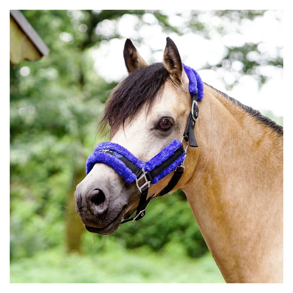 USG Halfter #Ponylove