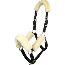 Le Mieux Comfort Halfter Natural/Black - Kaster Cheval