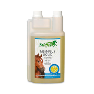 MSM Plus Liquid