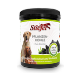 Stiefel Hund Pflanzenkohle