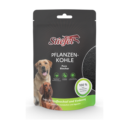 Stiefel Hund Pflanzenkohle