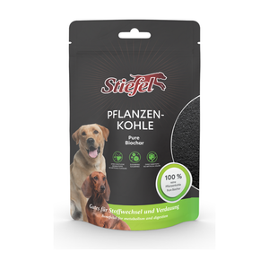 Stiefel Hund Pflanzenkohle