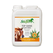 Antique White Stiefel TopShine Aloe Vera
