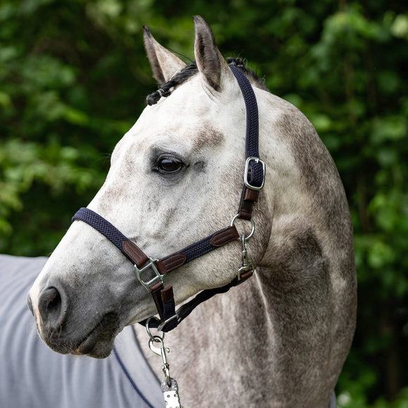 USG Halfter Ponylove geflochten