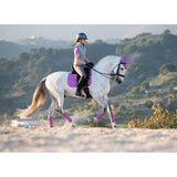 Le Mieux Lavender Fliegenohren