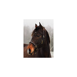 Lederhalfter Noble Shine