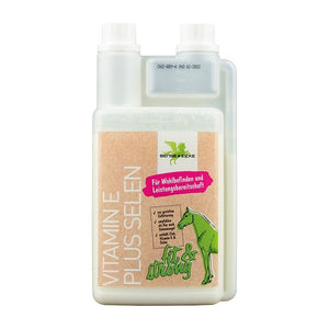 MSM + Glucosamine